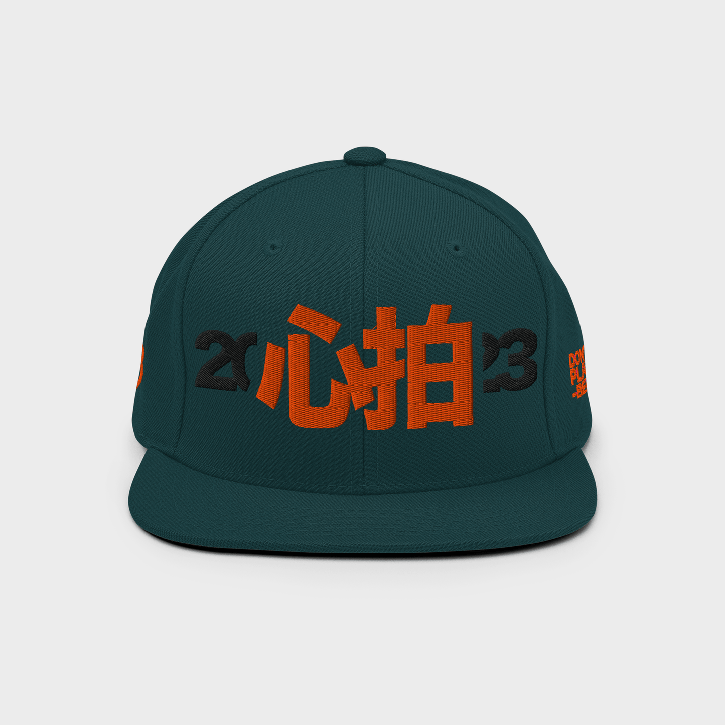 SHINPAKU Classic Snapback Cap – “Don’t Just Play Time, Bend It”